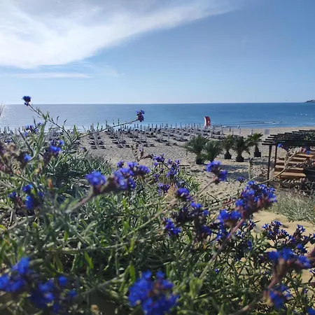 Umi Σάνι Μπιτς